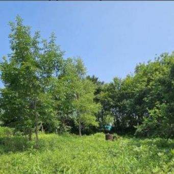 Участок 9,21 сотка, снт 