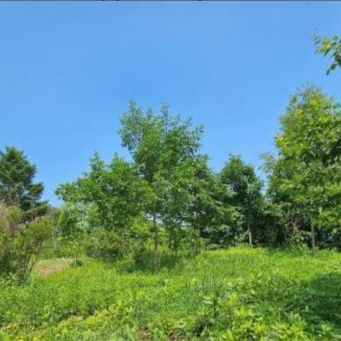 Участок 9,21 сотка, снт 