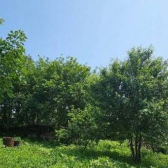 Участок 9,21 сотка, снт 