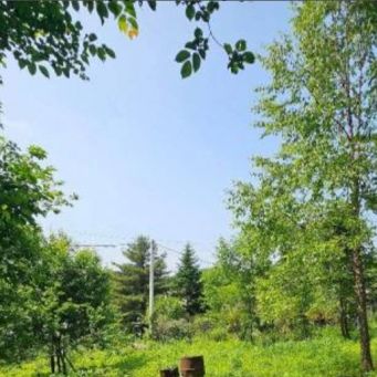 Участок 9,21 сотка, снт 